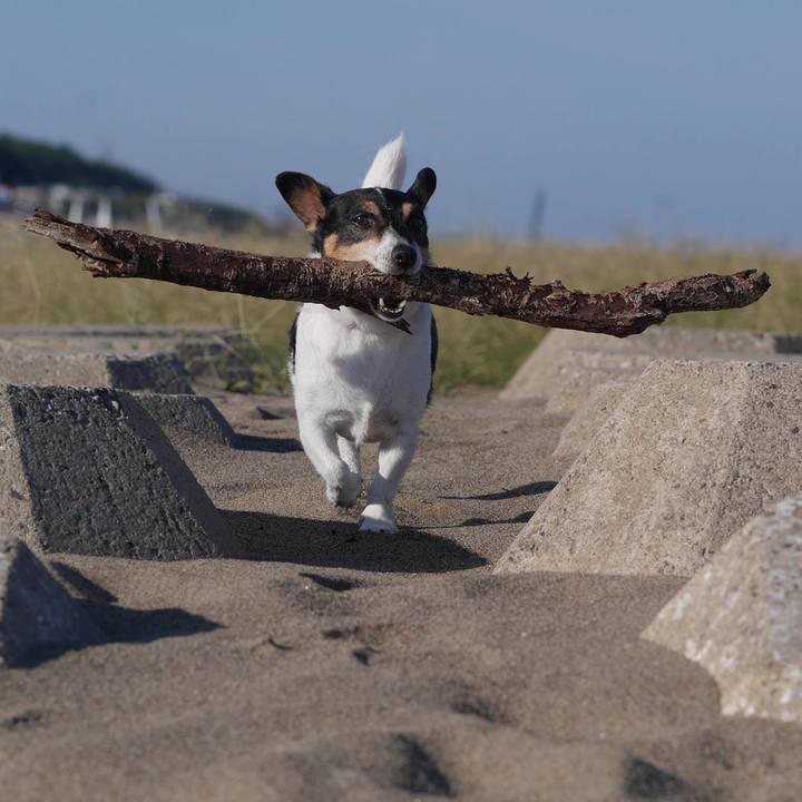 87a4a06f 5dde 4157 8eb2 482a41acd127