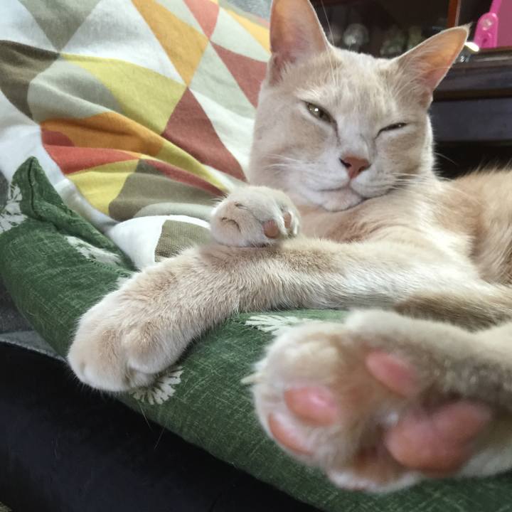 87a4ab37 3290 4e7d 9b01 9e29b92ccfed