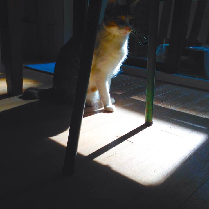 87a4c126 c917 4f13 9a04 4bd580f9cd50