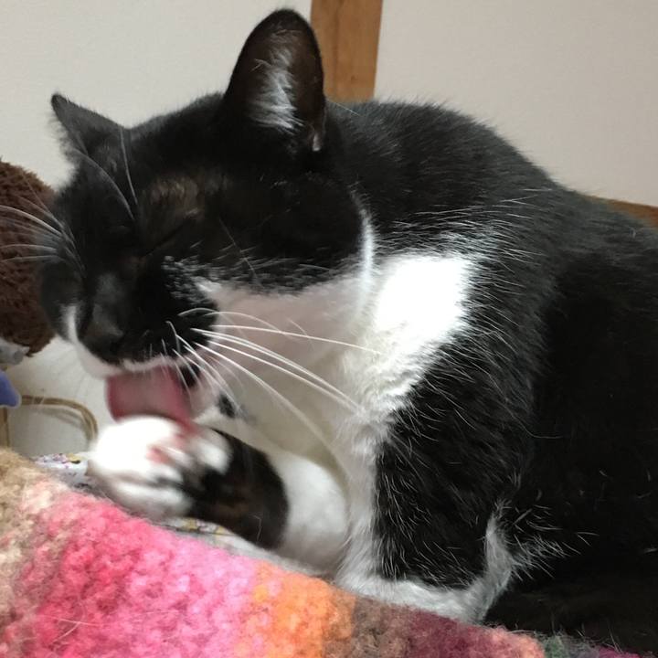 87a4f403 bd5b 4324 aa44 dc2c52ef20ff