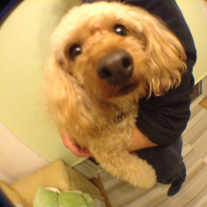 87a551d5 5168 41e5 927a f68e73105d6f