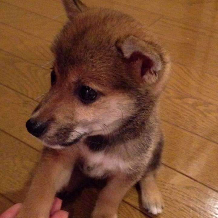 87a66a7e 47f2 4e9e 93d2 1d392e342249