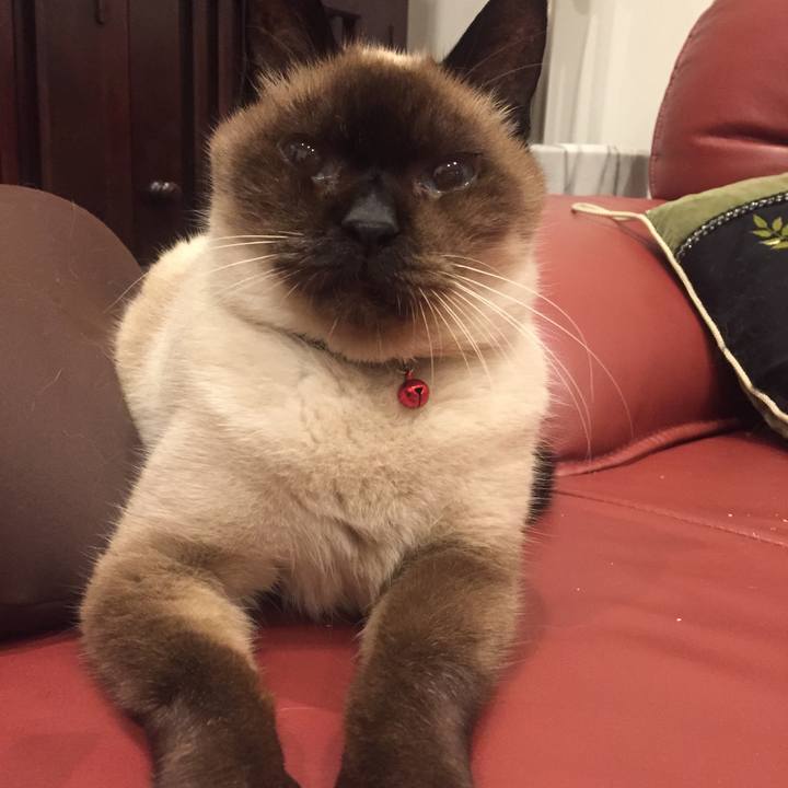 87a6ae7b 21dd 4272 82ae 1e786e91bb80