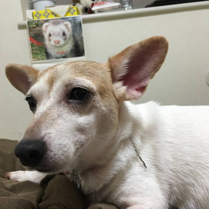 87a7662d 81eb 433d a8e0 7a7265194a74