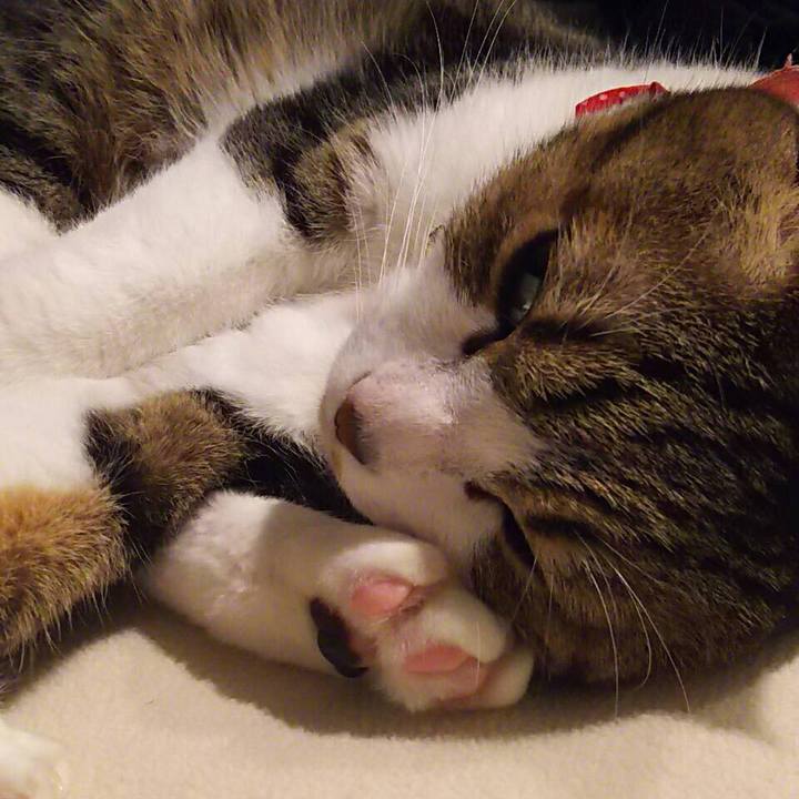 87a7b622 fcbf 42a2 9b82 597f9bea8086