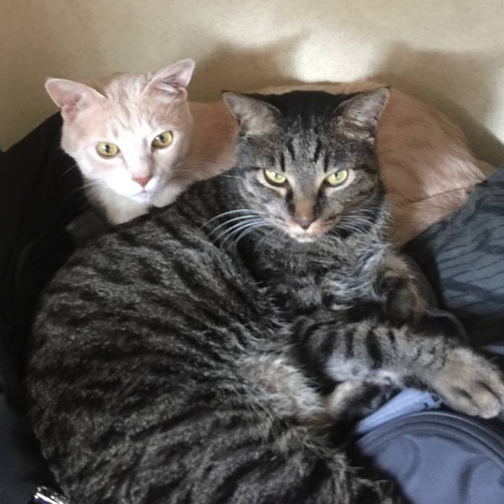 87a7d0f7 493b 42e4 a5c4 4ad30460997a