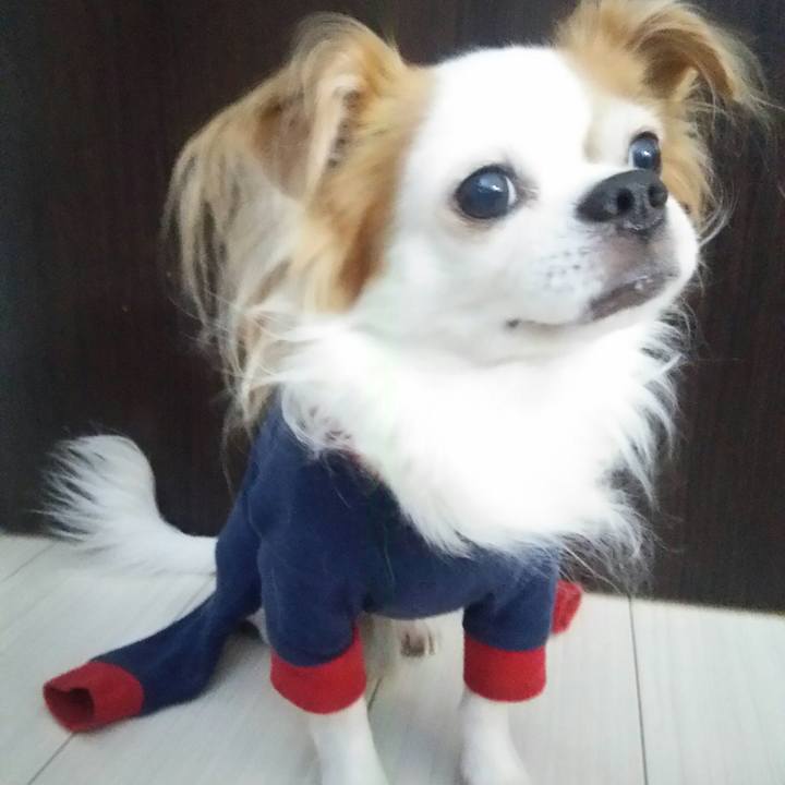 87a7d1c3 00fd 4b1a b3b0 08a6e3732ec6