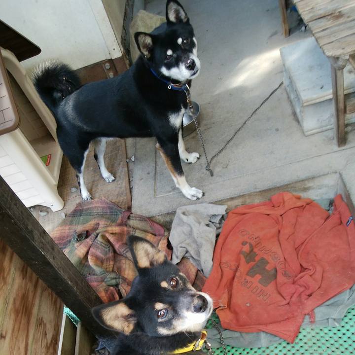 87a801bc 4732 4200 832f 58360d05cfec