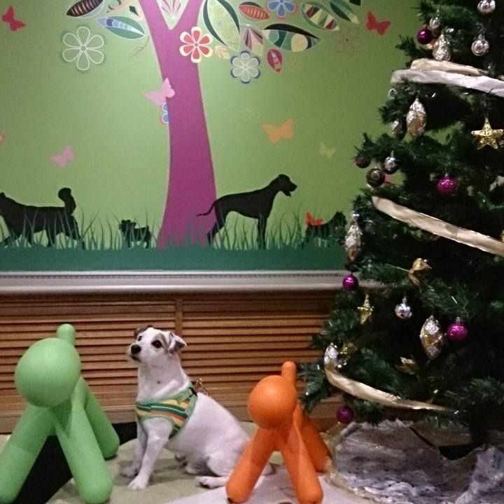 87a81257 48ce 4e07 8b9f 5d21e0c1147d