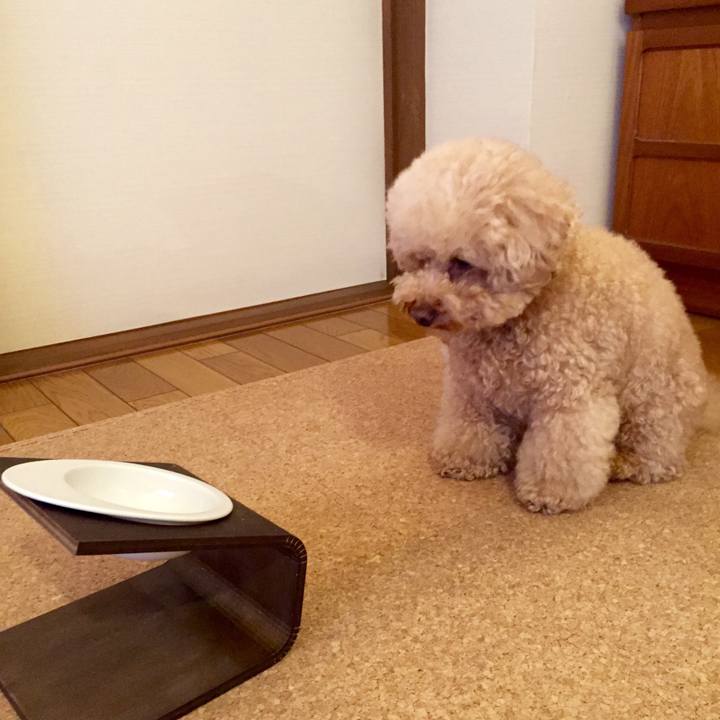 87a9406a d3b2 432a bd75 1eac2a30fb54