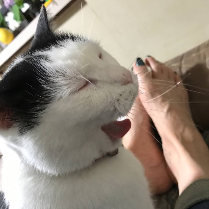 87aa448d 4d81 4d31 8bad 06f8d947e2cf