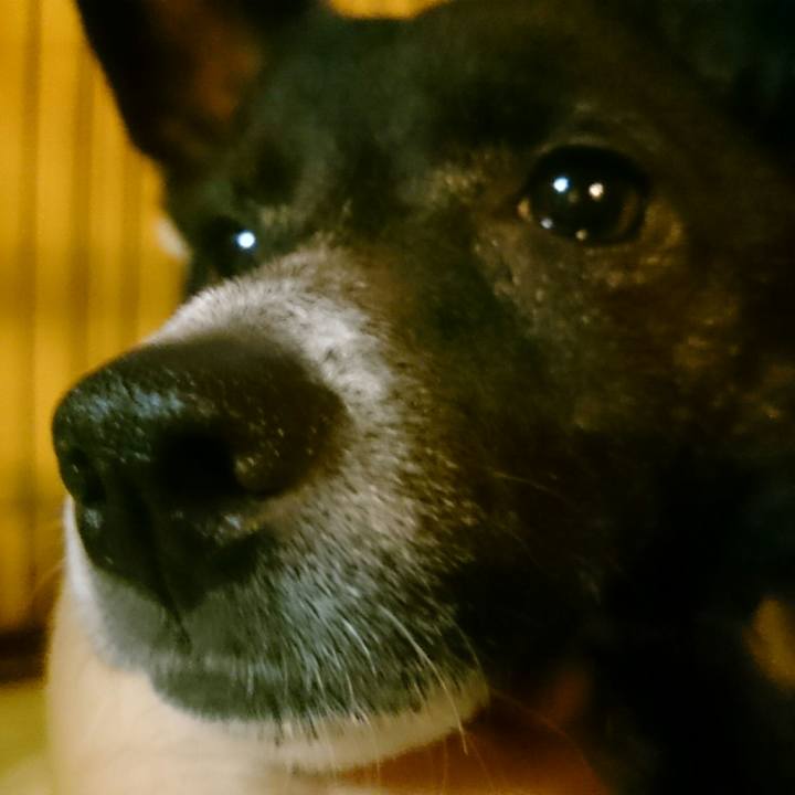 87aa7dc8 f476 4a24 b1da 2b81d4d93022