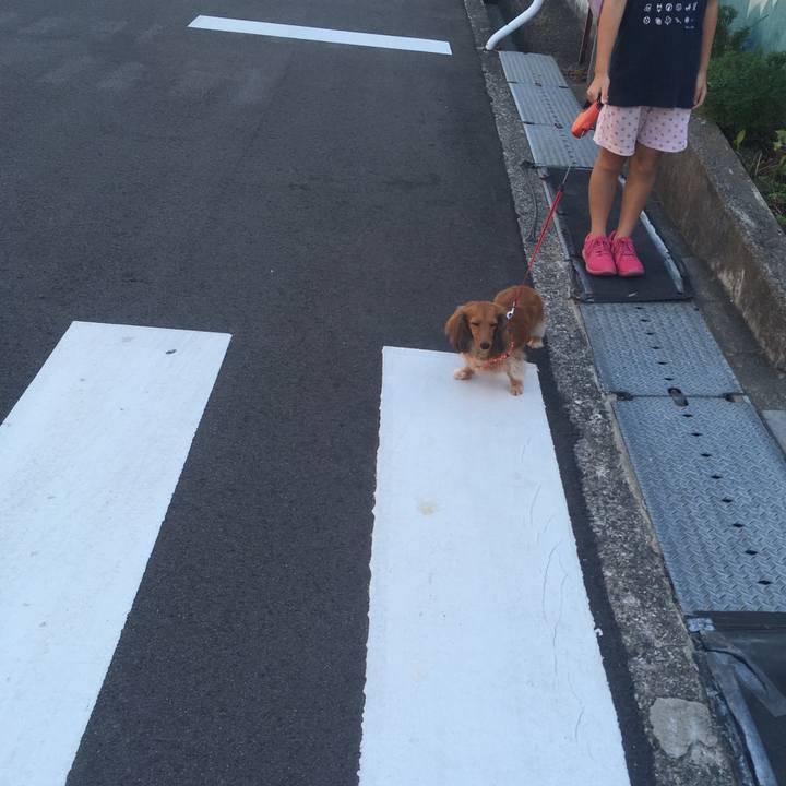 87aa8a11 e5ea 4613 a2ad 250f8a04994b