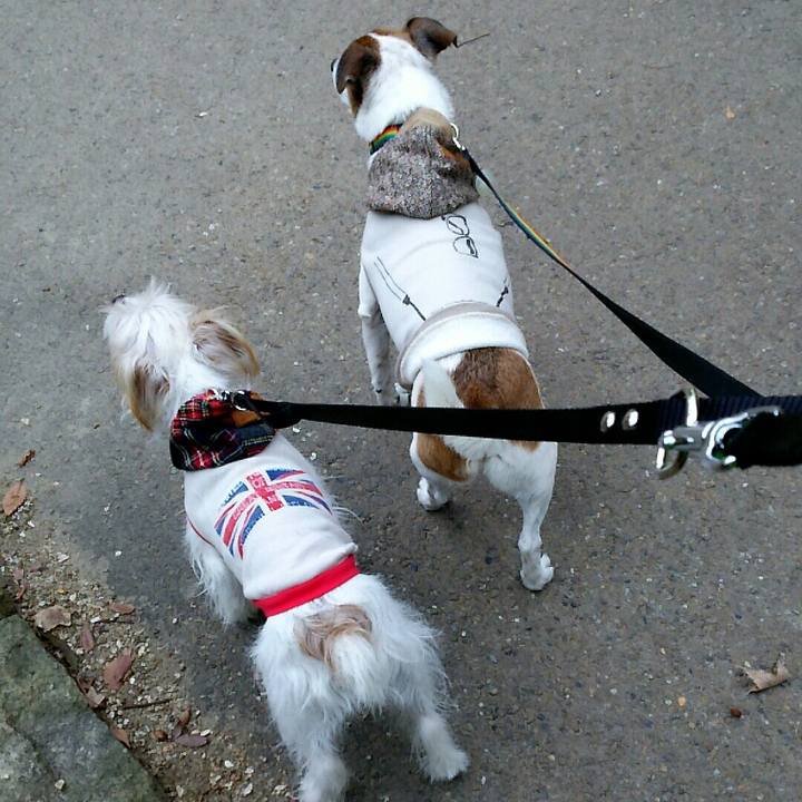 87aaaf89 9027 4b61 897c 97e94983f1d5