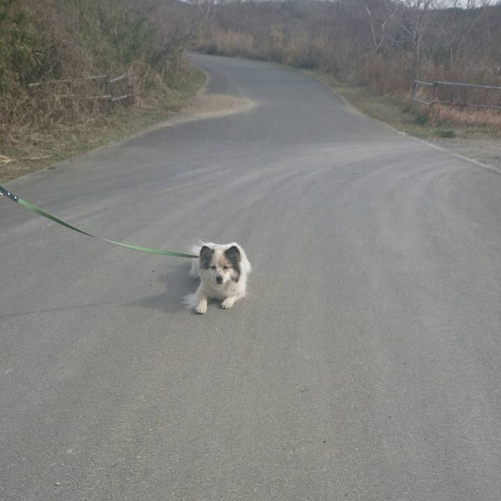 87aafcfa a76a 45ff 802f 2ad5b2ac8679