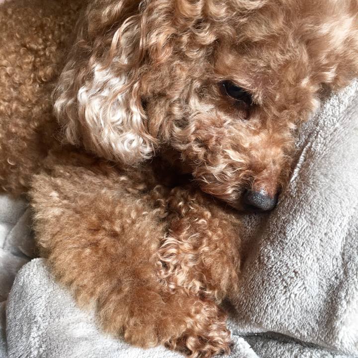 87ab51cb 22fc 4bd4 91bc 6b6d2b8141e3