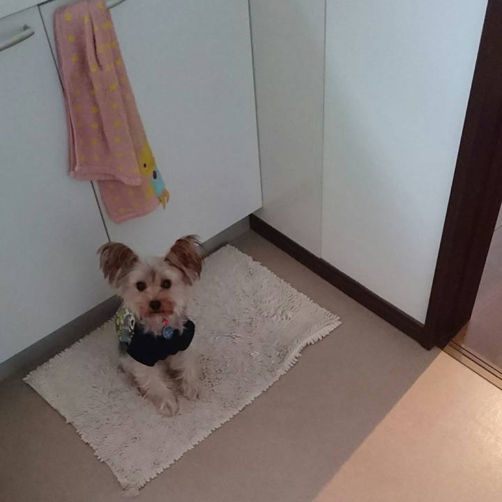 87acb238 9f42 483d abca e16b3b8861aa