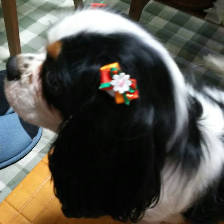 87ace666 72e0 4c79 a27c 32bbeb2d18b7