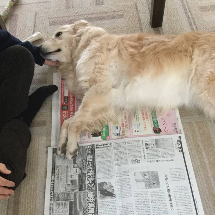 87ad15a3 741a 4c93 8610 6c4e9d00a404