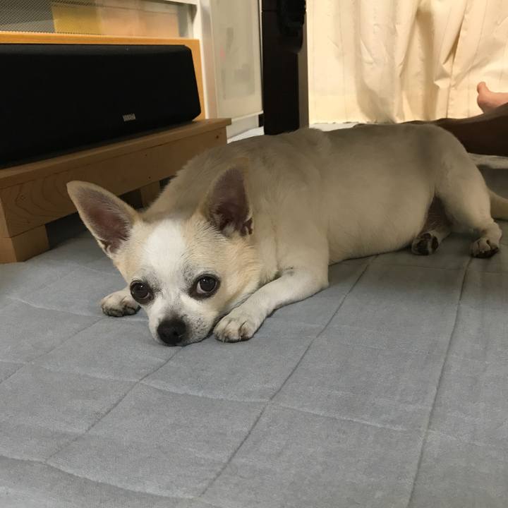 87ad7255 acc2 4a5e 94c6 40c6676119eb