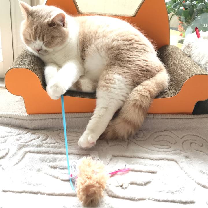 87ae395c abec 476a bd26 49b7fd177e00