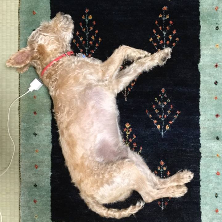 87ae6ffb 56d7 401d ac94 050416bc5f43