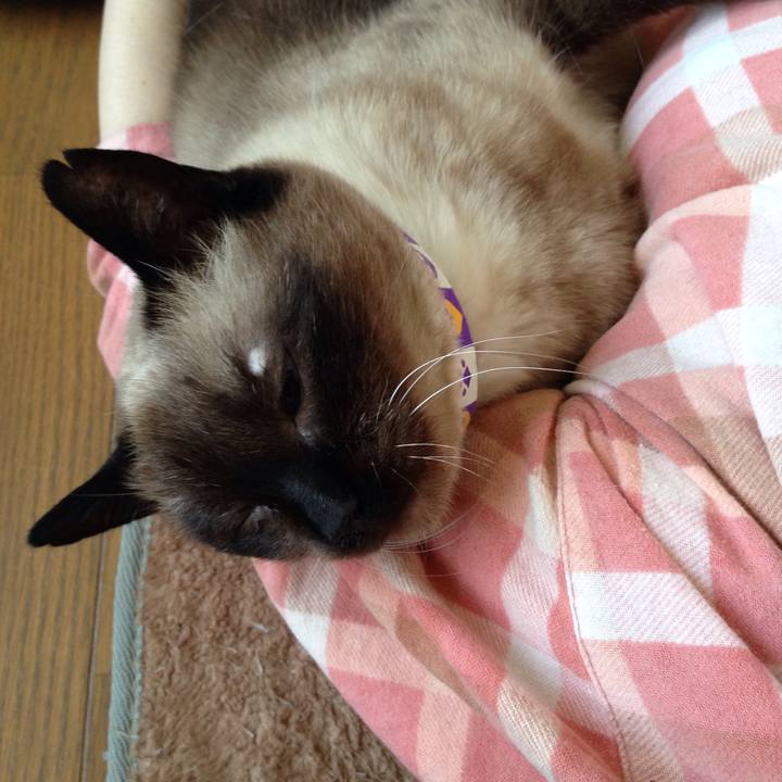 87aee63b 75b7 401c 9928 93c6aceaa691