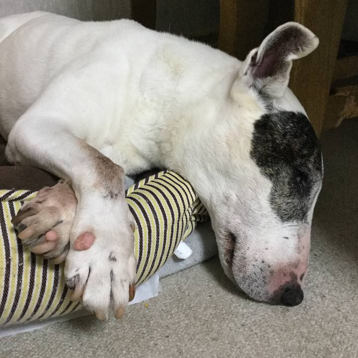 87af0498 0f84 4648 9044 a01a6d44b9ea