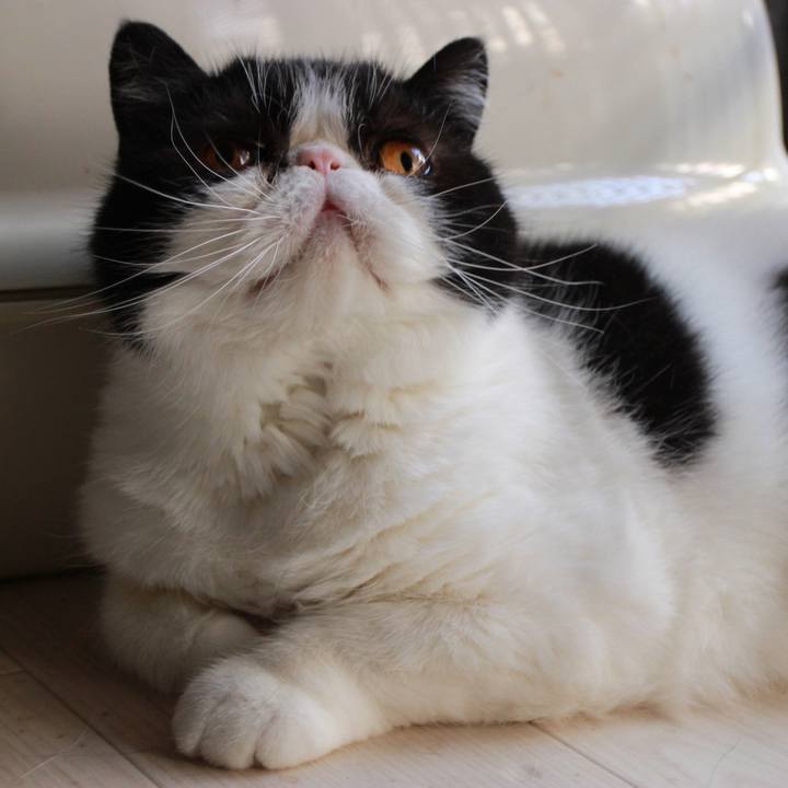 87af2d75 64a9 4aae 80b0 c5d3a6676426