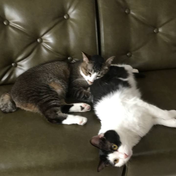 87af92c3 0477 4610 ba2f 5beb21adedbf