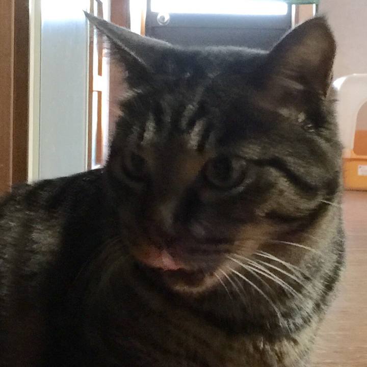 87afbd08 efc9 4ad0 b2b7 dad94a7d4f1a