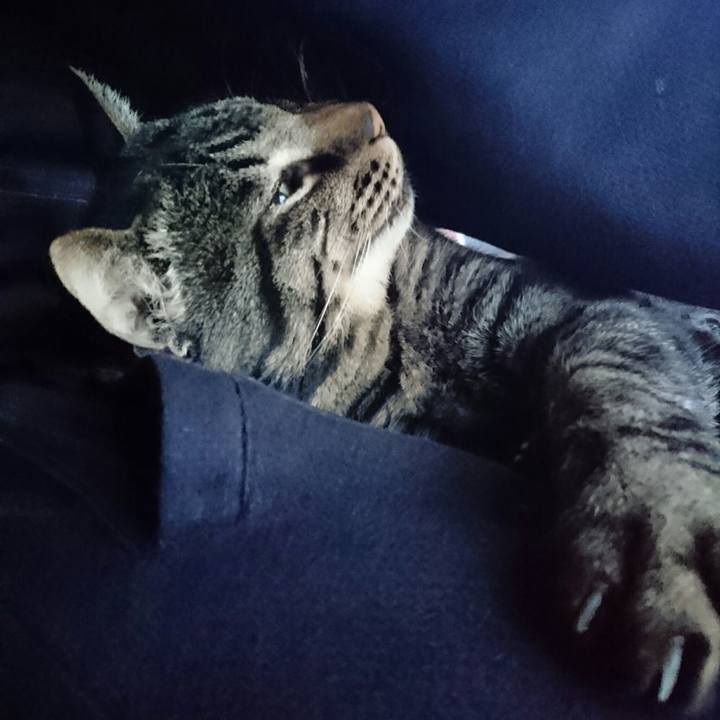 87b02f05 f179 448f 9723 c72e2254ada2