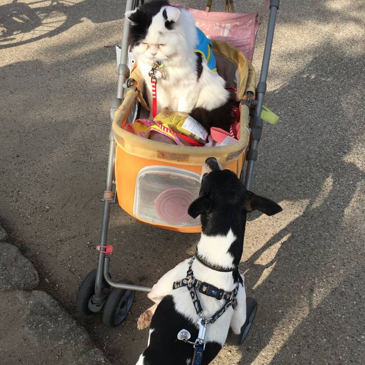 87b04bdc a666 4154 8082 e19c84daf53a