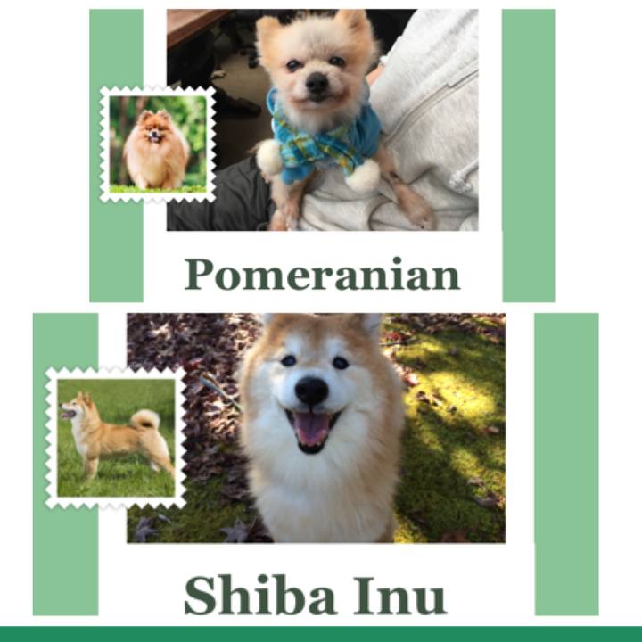 87b058d4 9a95 413b b654 7a6c2fd6dcfe