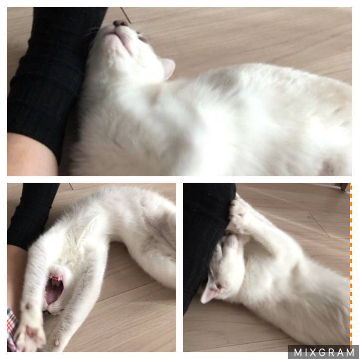 87b10b6b 8b33 4f83 93ea 87049d28cc69