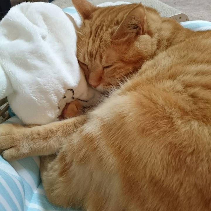 87b1daf3 beee 4fcb b306 6a27c57f088d