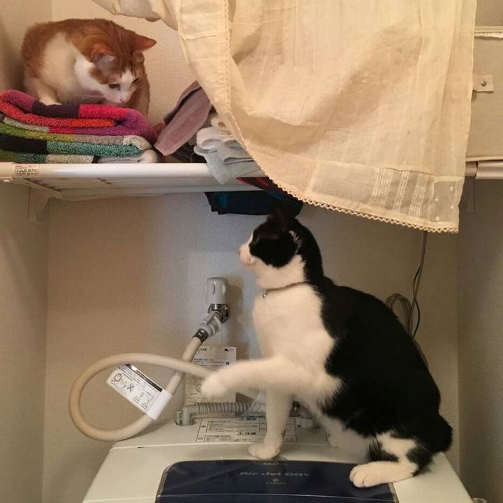 87b1e9f3 a41e 4a8d 96ef a41a4fa52f59