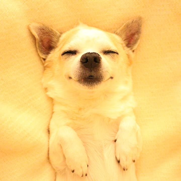 87b20ed8 d2fa 4194 8470 a1799b7c2103