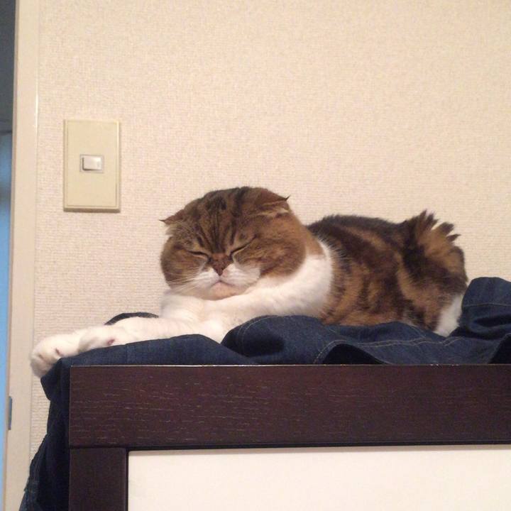 87b22831 b635 4f59 9ca8 c87e1a943d03