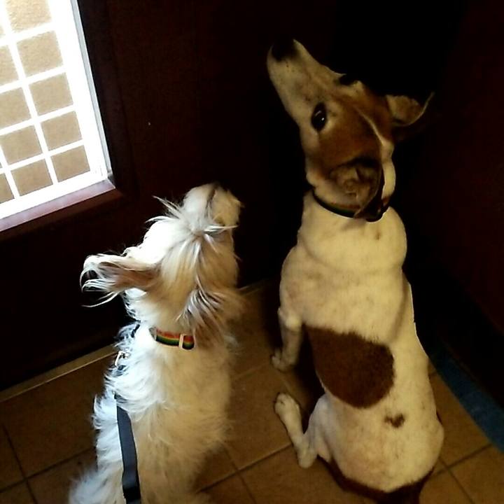 87b24782 1a05 47eb 8355 1d9febbac104