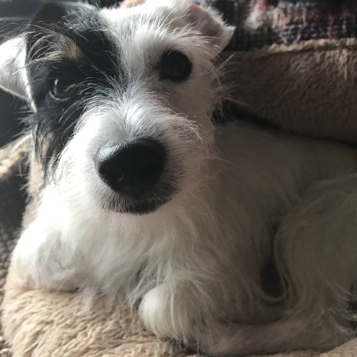 87b27d59 5fda 45d7 89fe d58e6c655c7c