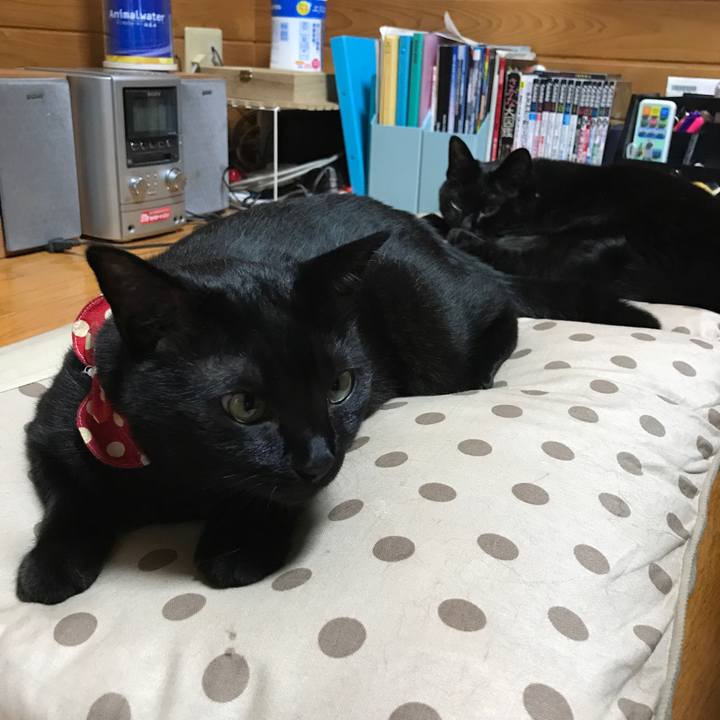 87b2a8ae 83da 4eeb 8975 21b8f977a181