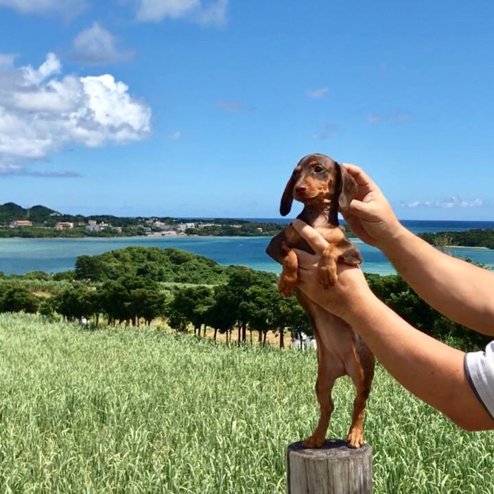 87b3bd3a edca 4398 99a3 e9c57564da89