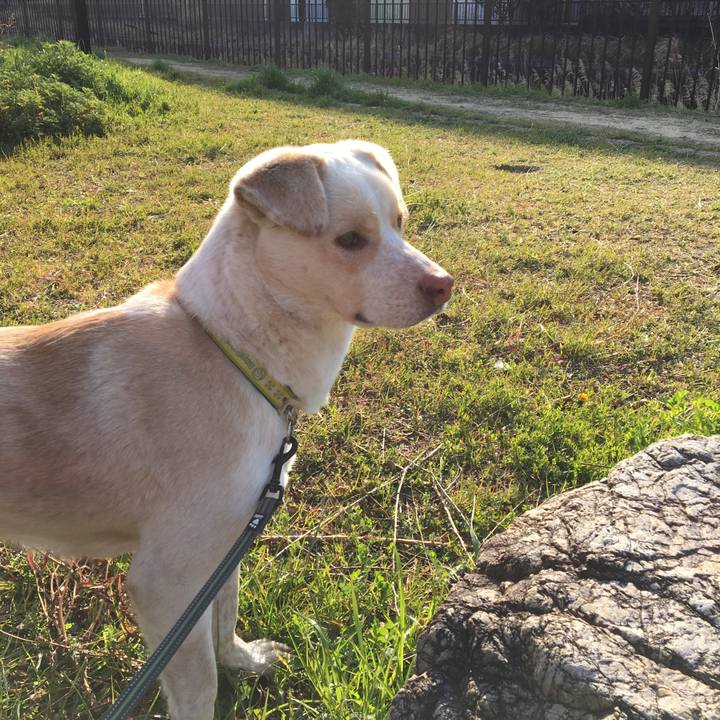 87b3ed7b dc74 456a a235 4418da378307