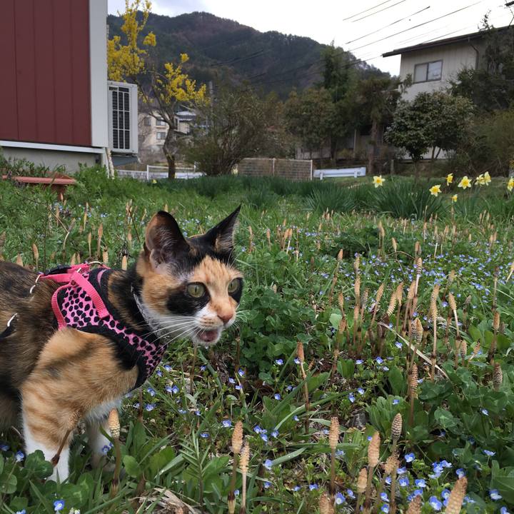 87b41be4 fe3e 4635 9265 62a2cb5b7cd9