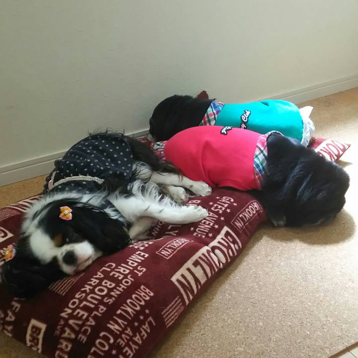 87b433b9 0814 4c8c 9709 83dd9c656d54