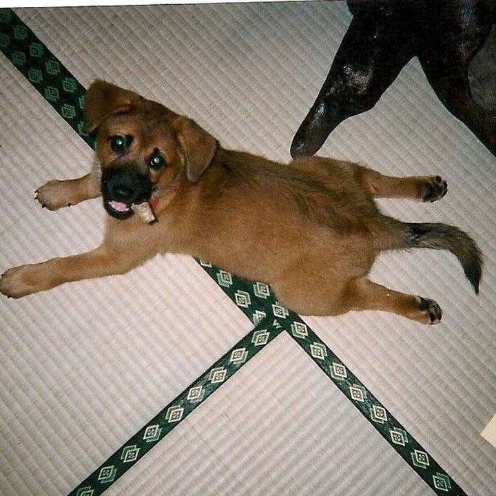 87b43ae2 e4ff 4bd5 b0d9 5afdafb109ee