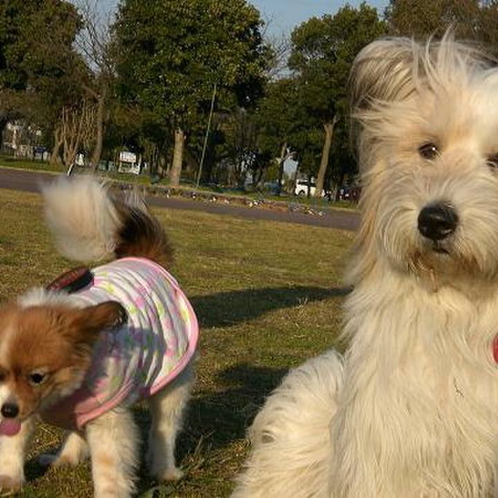 87b4f929 0adb 4273 ba96 67a7aad770a2