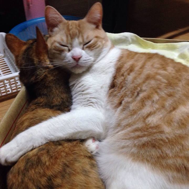 87b52283 81de 41c5 b231 dd48ab3e0a92