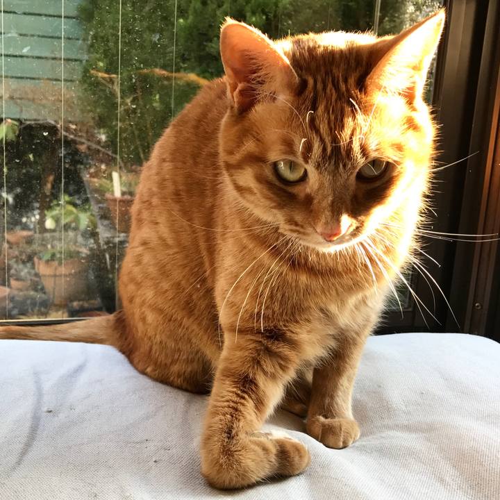 87b57b49 9cb1 4442 8489 f12b16165a51